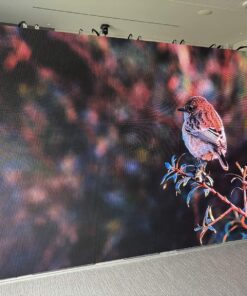 Absen X3 LED Wall Indoor